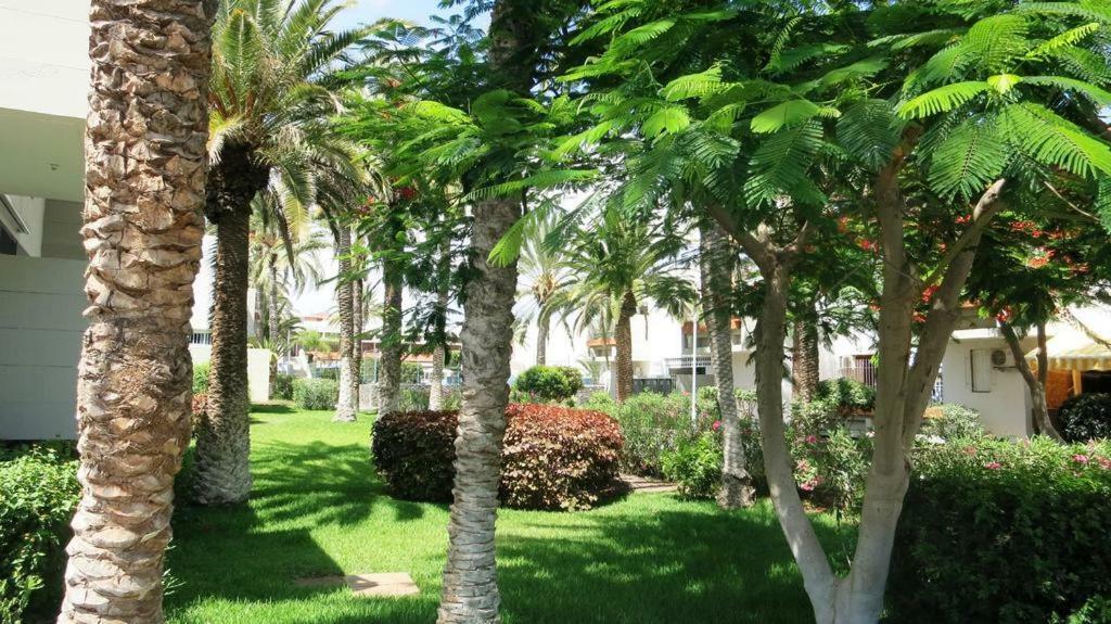 Primavera Appartement Tot 7 Personen Ideaal Voor Backpackers Arona  Exterior foto